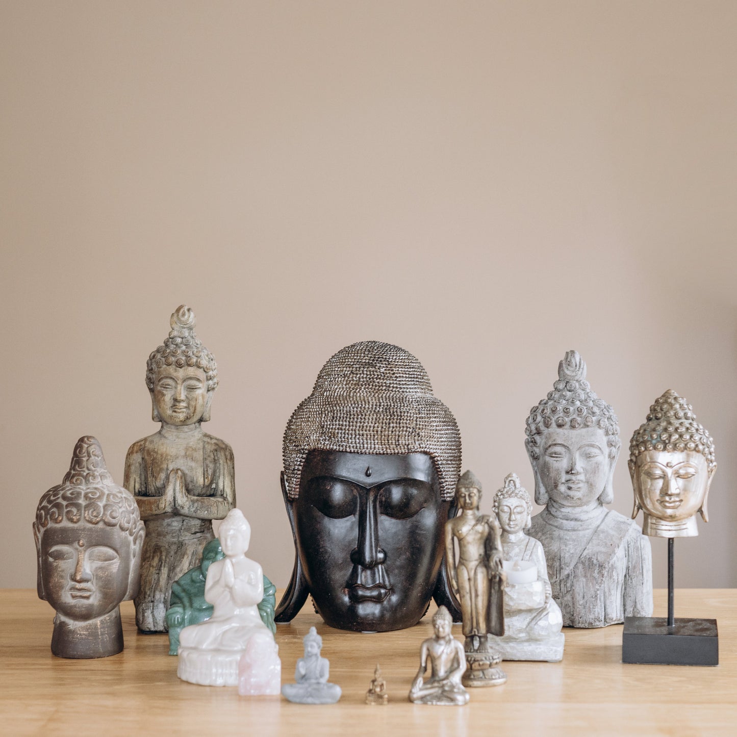 Seed Wellness Half Day Retreat